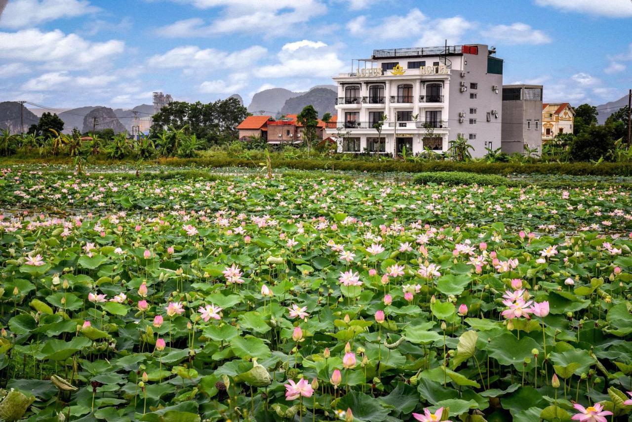 Lotus
